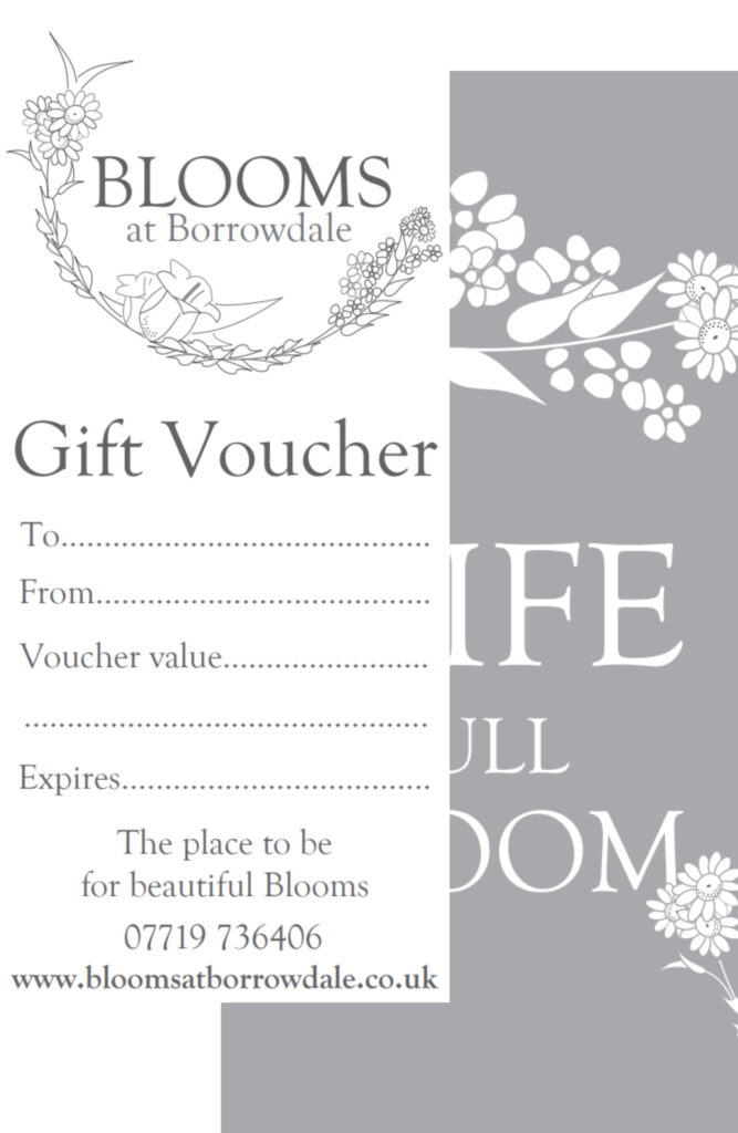 Voucher