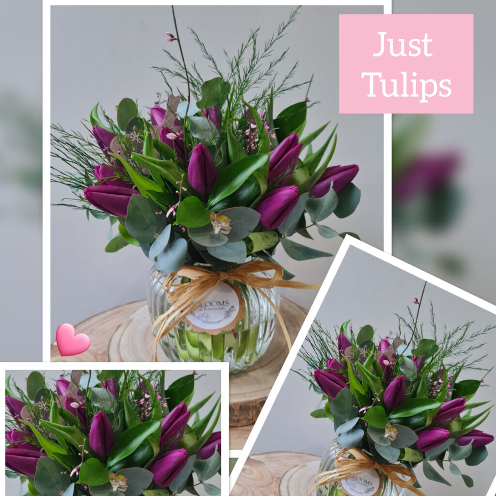 Just Tulips