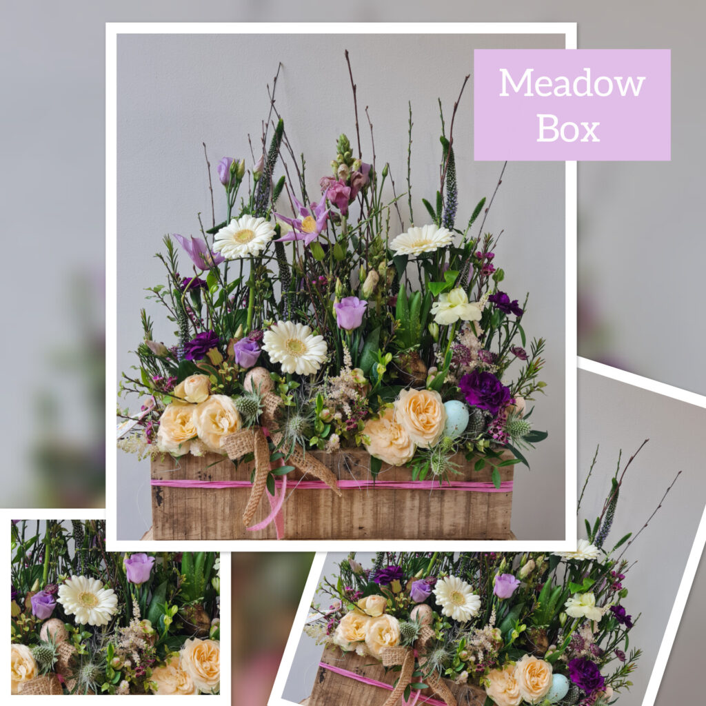 Meadow Box