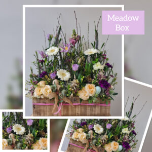 Meadow Box