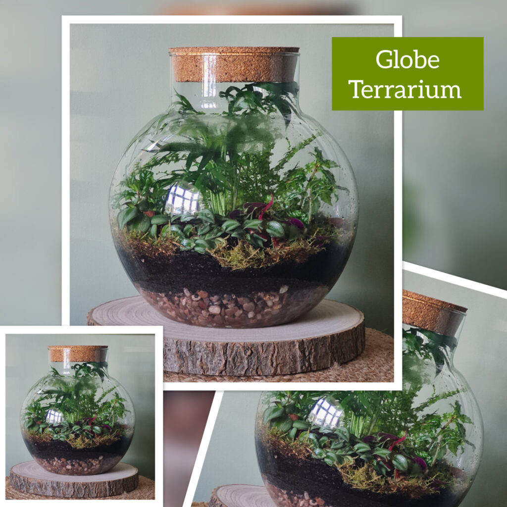 Globe Terrarium
